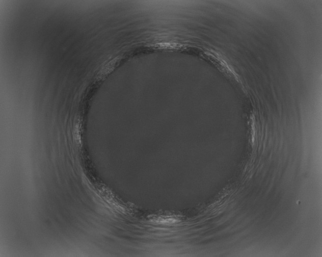 X0000082940643200702222248