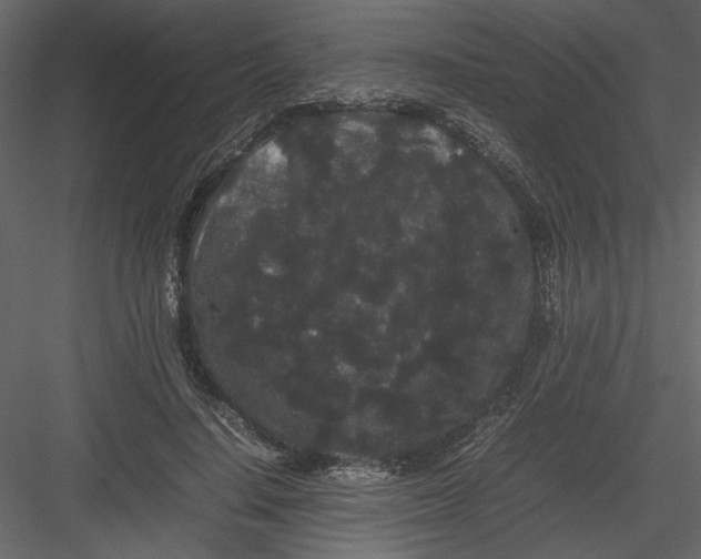 X0000082940644200702222248