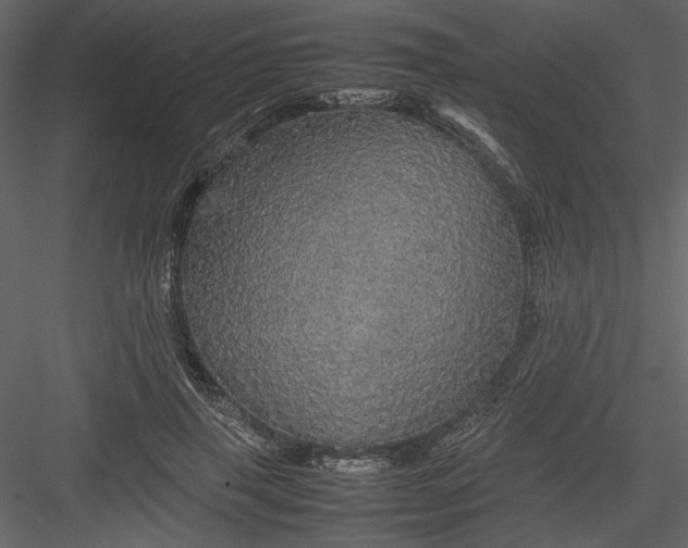 X0000082940645200702222248