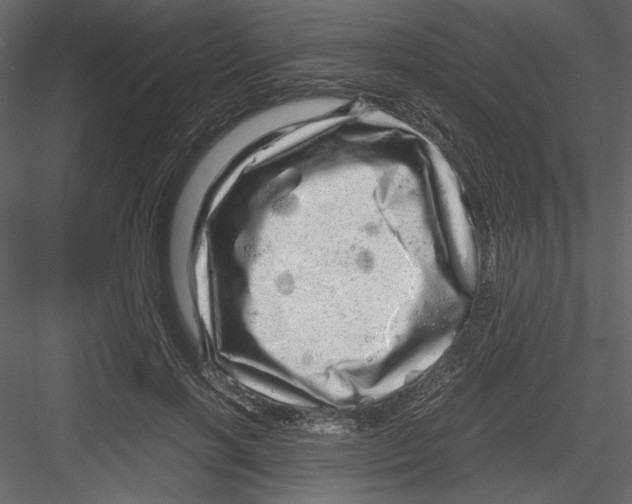 X0000082940646200702222248