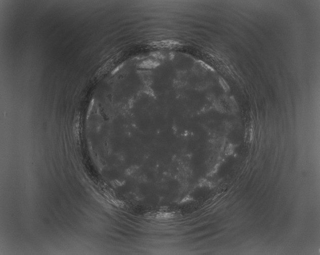 X0000082940647200702222248