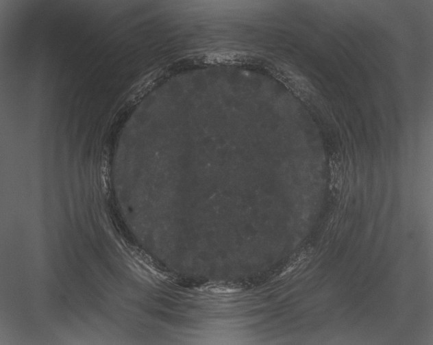 X0000082940648200702222248