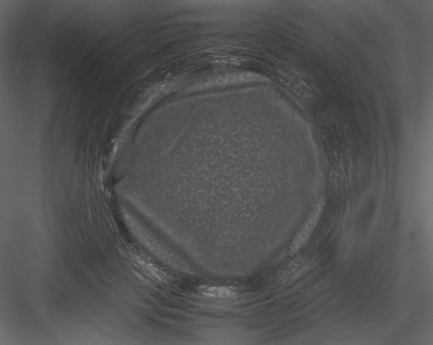 X0000082940649200702222248