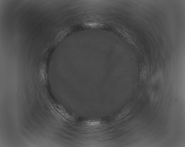 X0000082940651200702222248