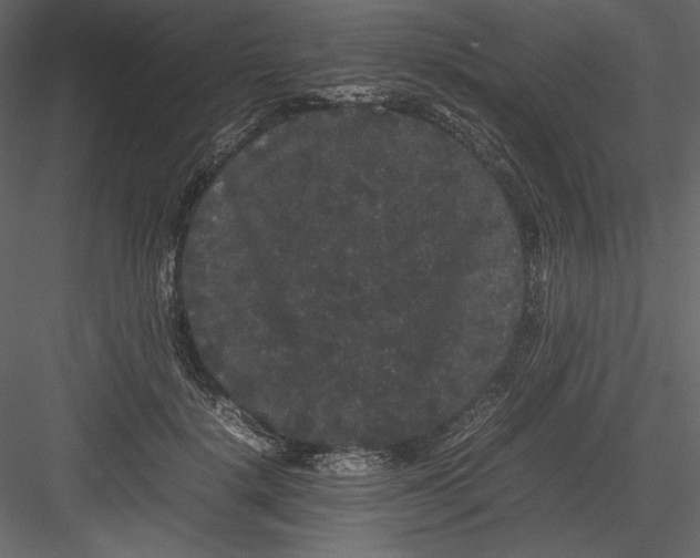 X0000082940652200702222248