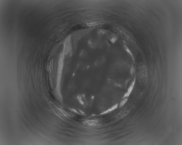 X0000082940653200702222248