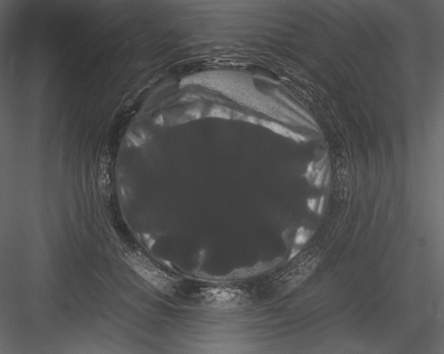 X0000082940654200702222248