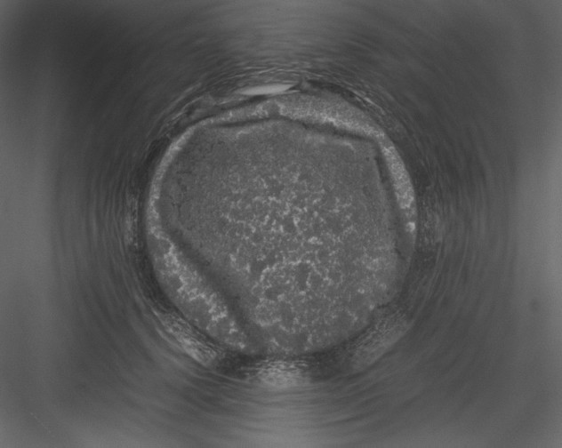 X0000082940656200702222248