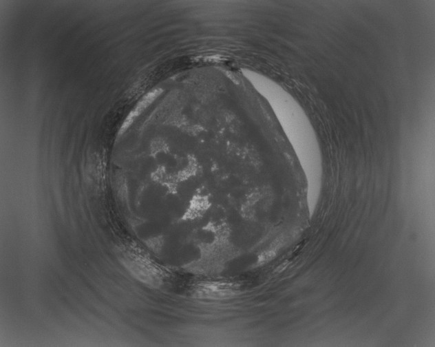 X0000082940657200702222248