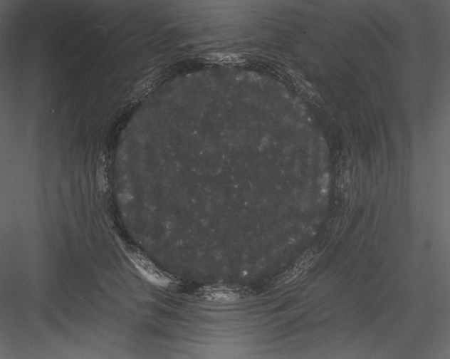 X0000082940658200702222248