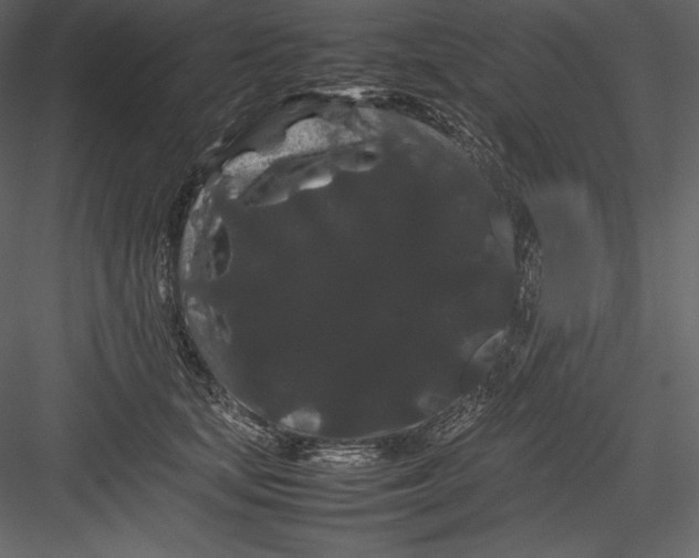 X0000082940659200702222248