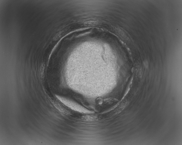 X0000082940660200702222248