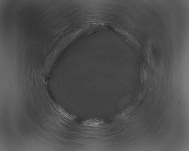 X0000082940661200702222248