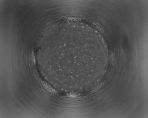 X0000082940662200702222248