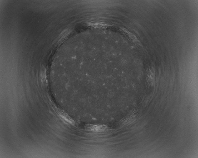 X0000082940663200702222248