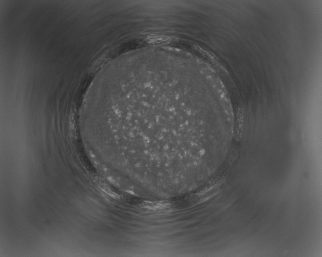 X0000082940667200702222248