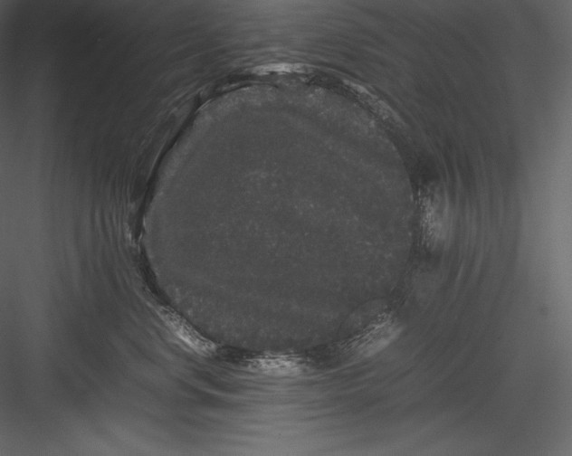 X0000082940668200702222248