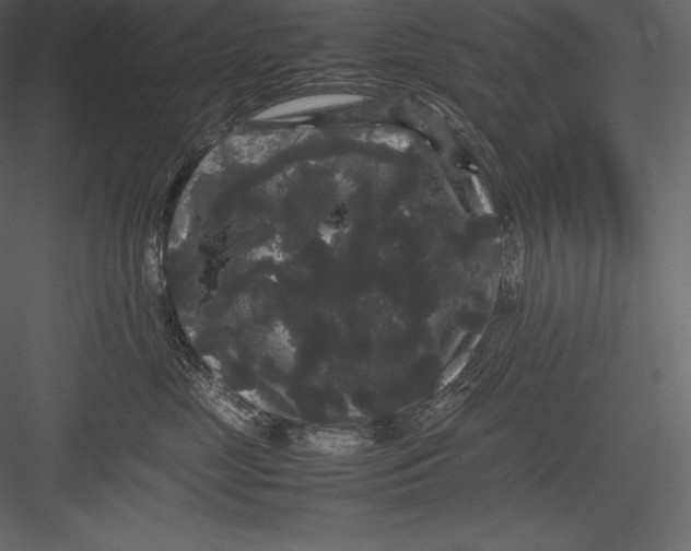 X0000082940669200702222248