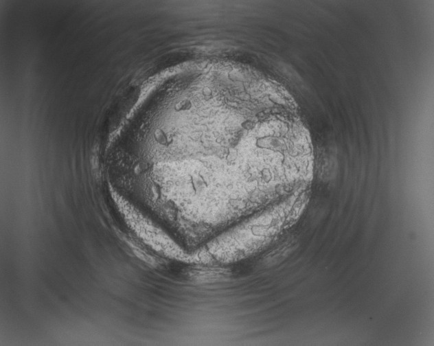 X0000082940670200702222248