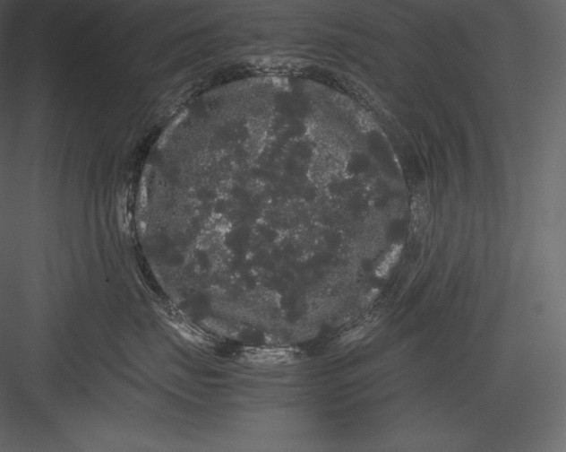 X0000082940671200702222248