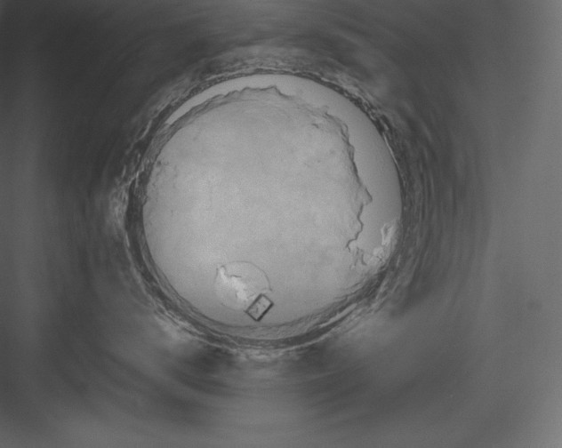 X0000082940672200702222248