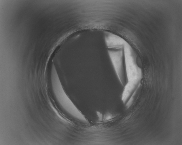 X0000082940674200702222247