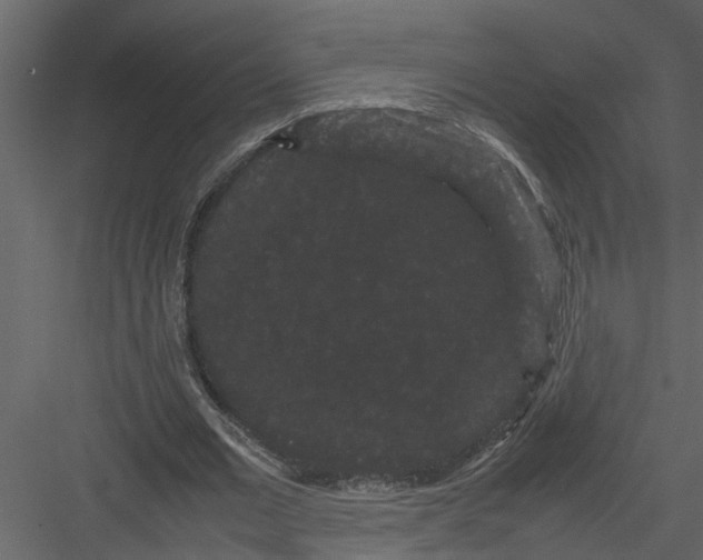 X0000082940677200702222247