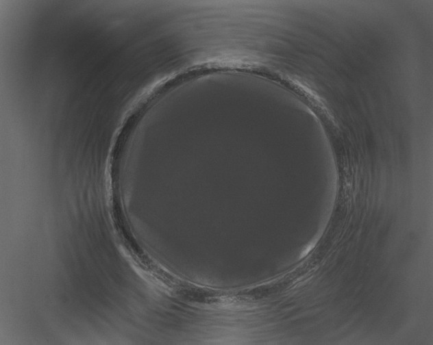 X0000082940678200702222247