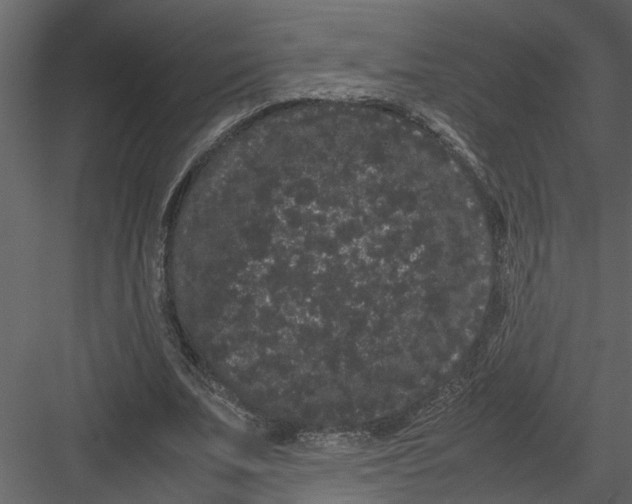 X0000082940679200702222247