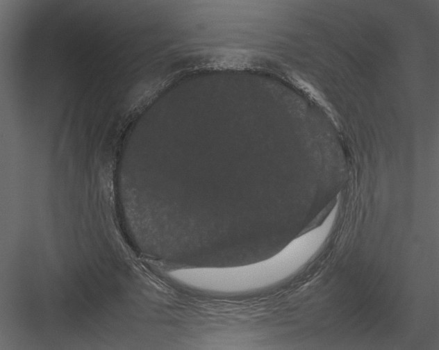 X0000082940681200702222247