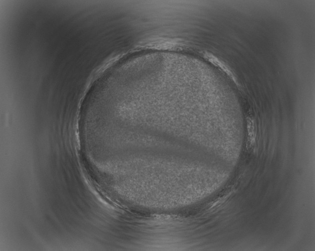 X0000082940682200702222247