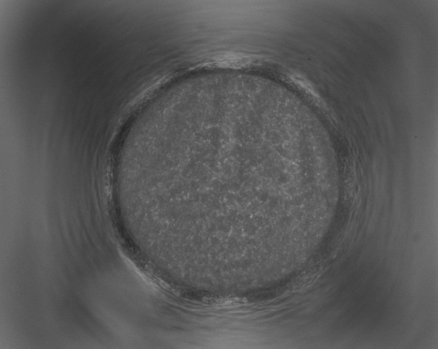 X0000082940683200702222247