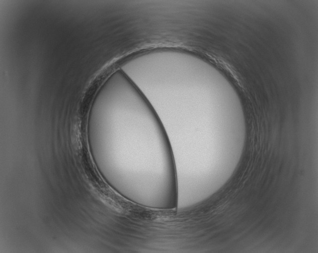 X0000082940684200702222247