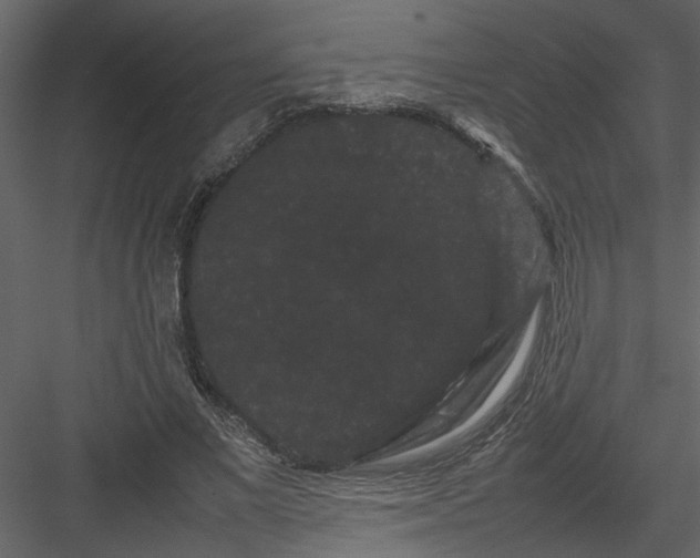 X0000082940685200702222247