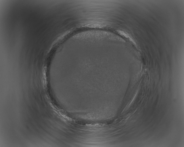 X0000082940688200702222247