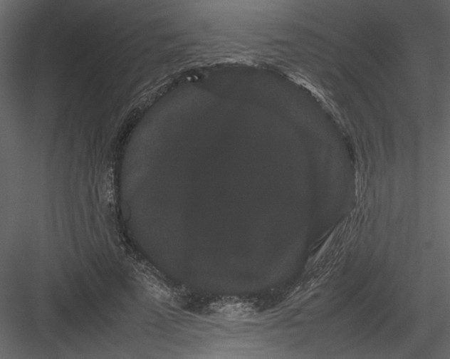 X0000082940689200702222247