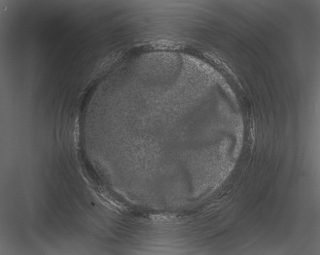 X0000082940690200702222247