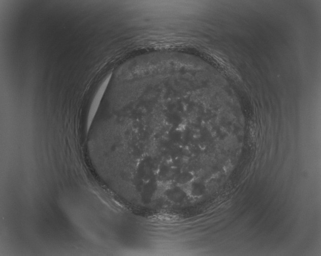 X0000082940691200702222247