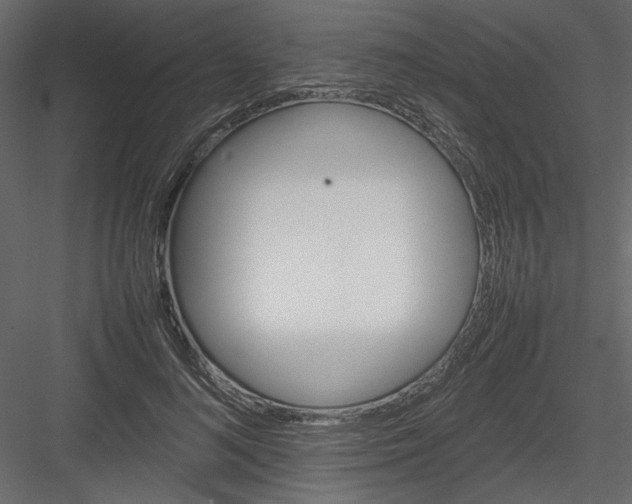 X0000082940692200702222247