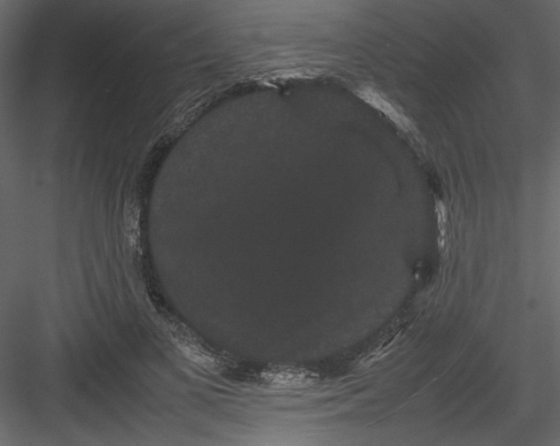 X0000082940693200702222247