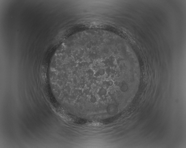 X0000082940695200702222247