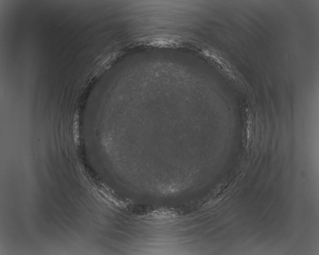 X0000082940696200702222247