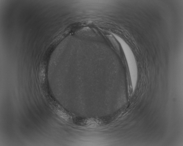 X0000082940697200702222247