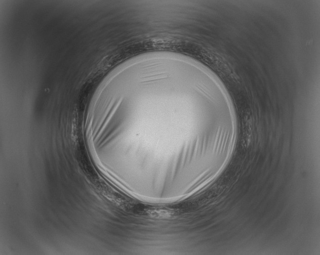 X0000082940698200702222247