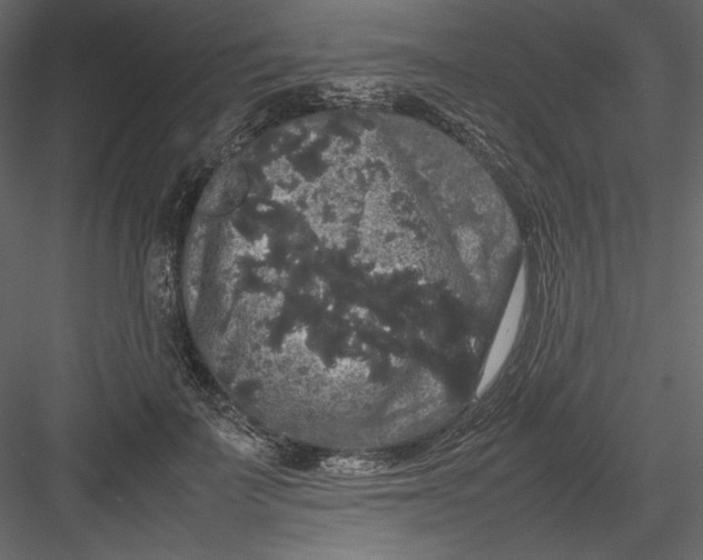 X0000082940699200702222247