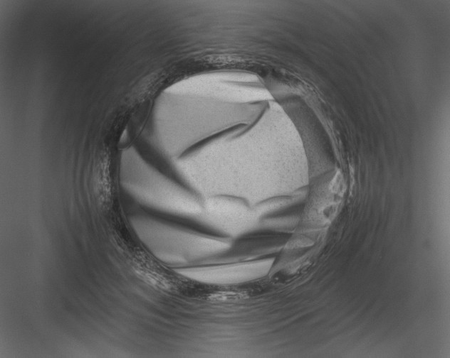 X0000082940700200702222247