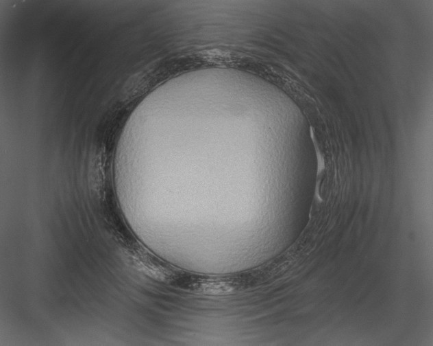 X0000082940702200702222247