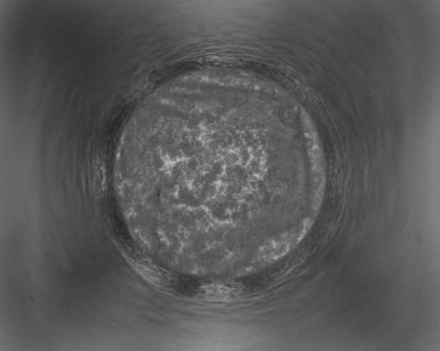 X0000082940703200702222247