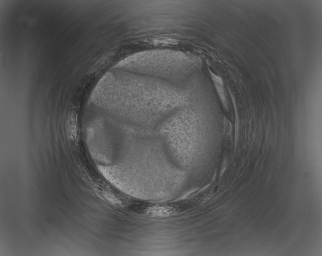 X0000082940704200702222247