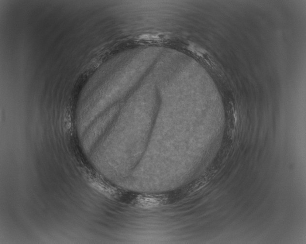 X0000082940706200702222247